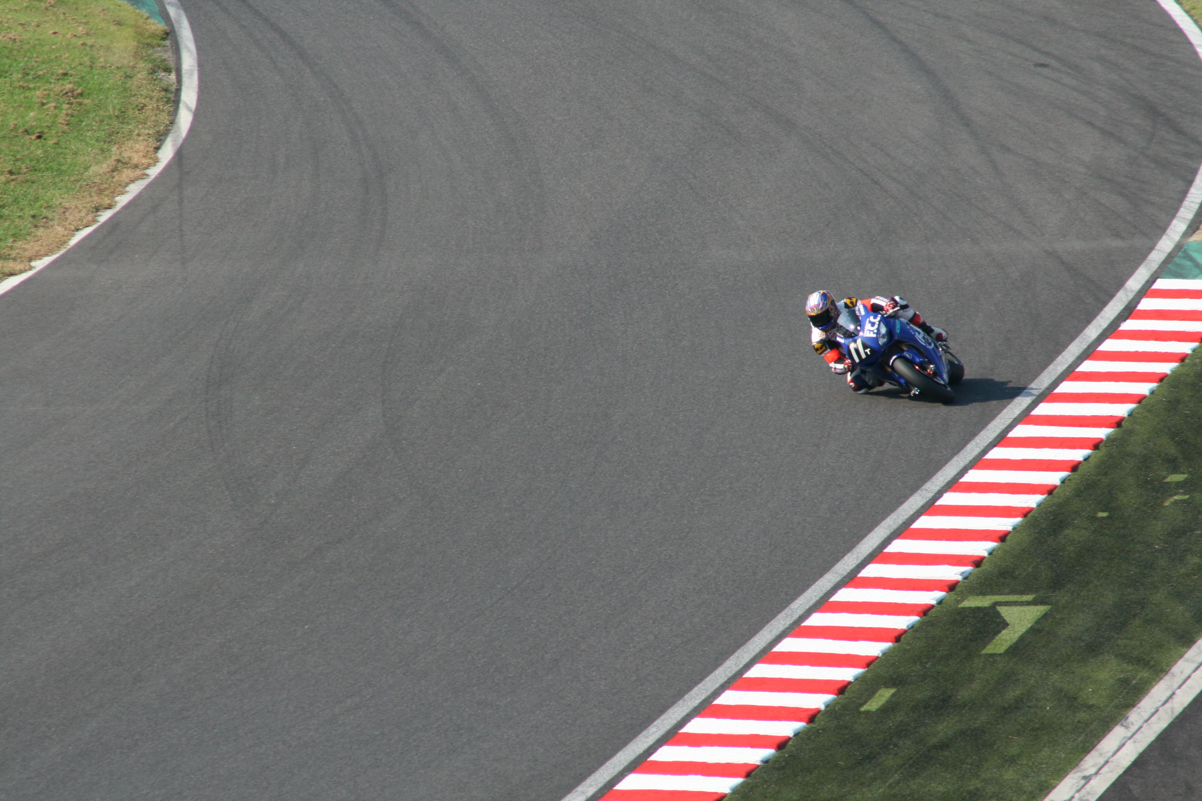 8tai2010_102.jpg