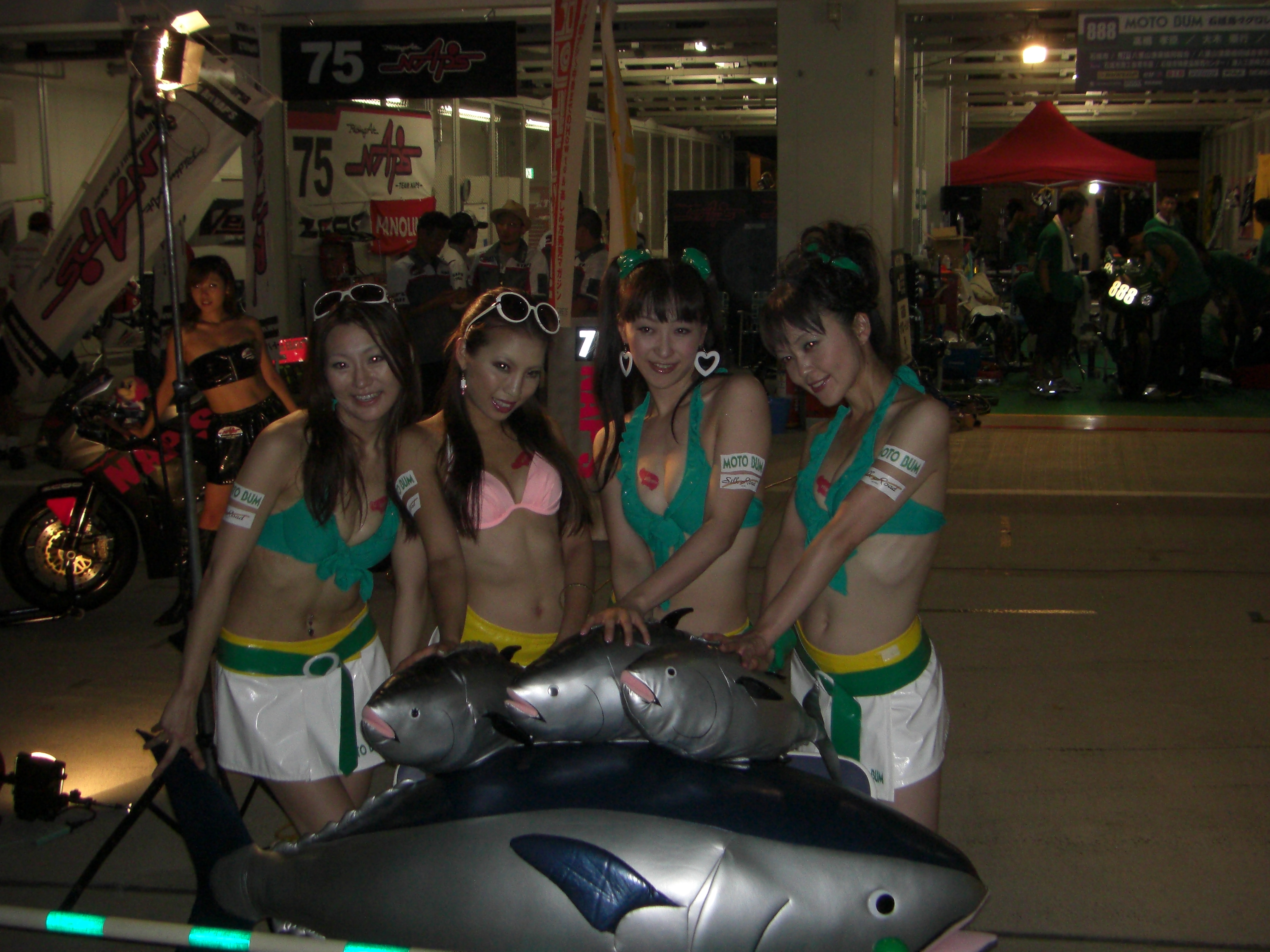 8tai2010_166.jpg